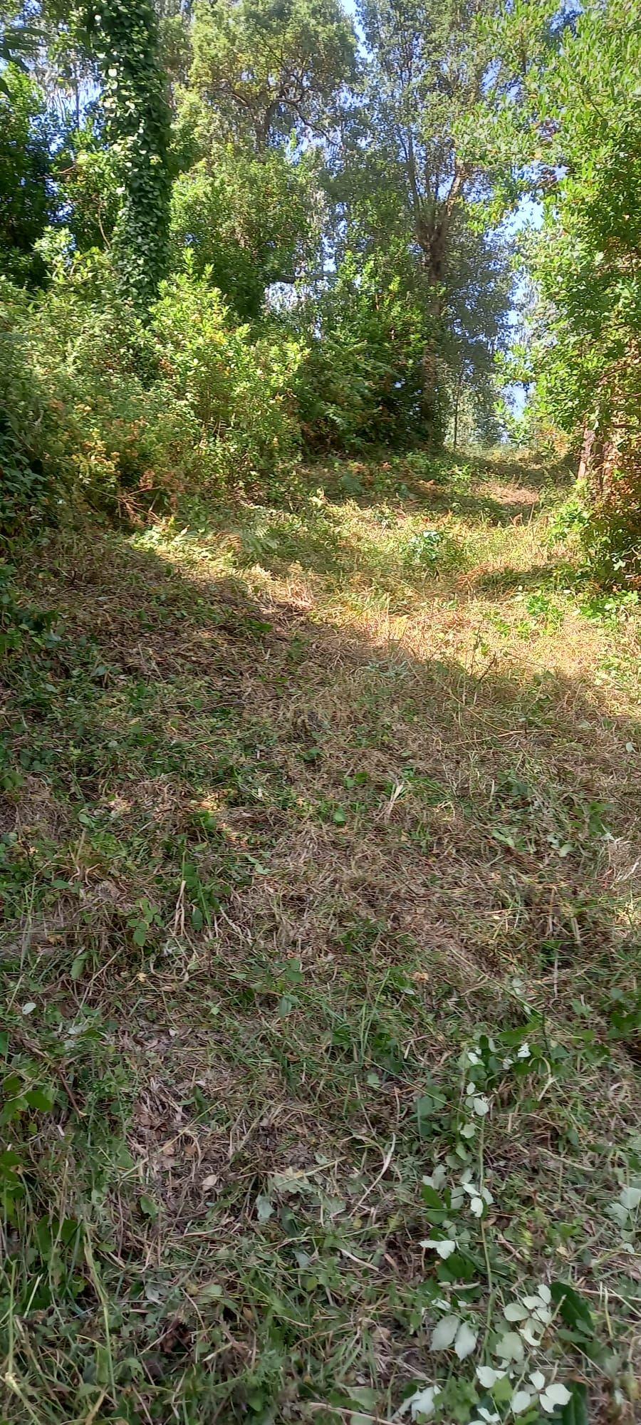 Fotografia 6 de Terreno entre Caldas da Rainha e Benedita e próximo da freguesia de Santa Catarina