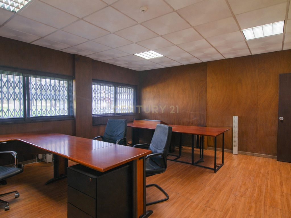 Armazém Industrial com 2.000 m² implantado em terreno de 16.188 m² – Quinta do Anjo - Image 4
