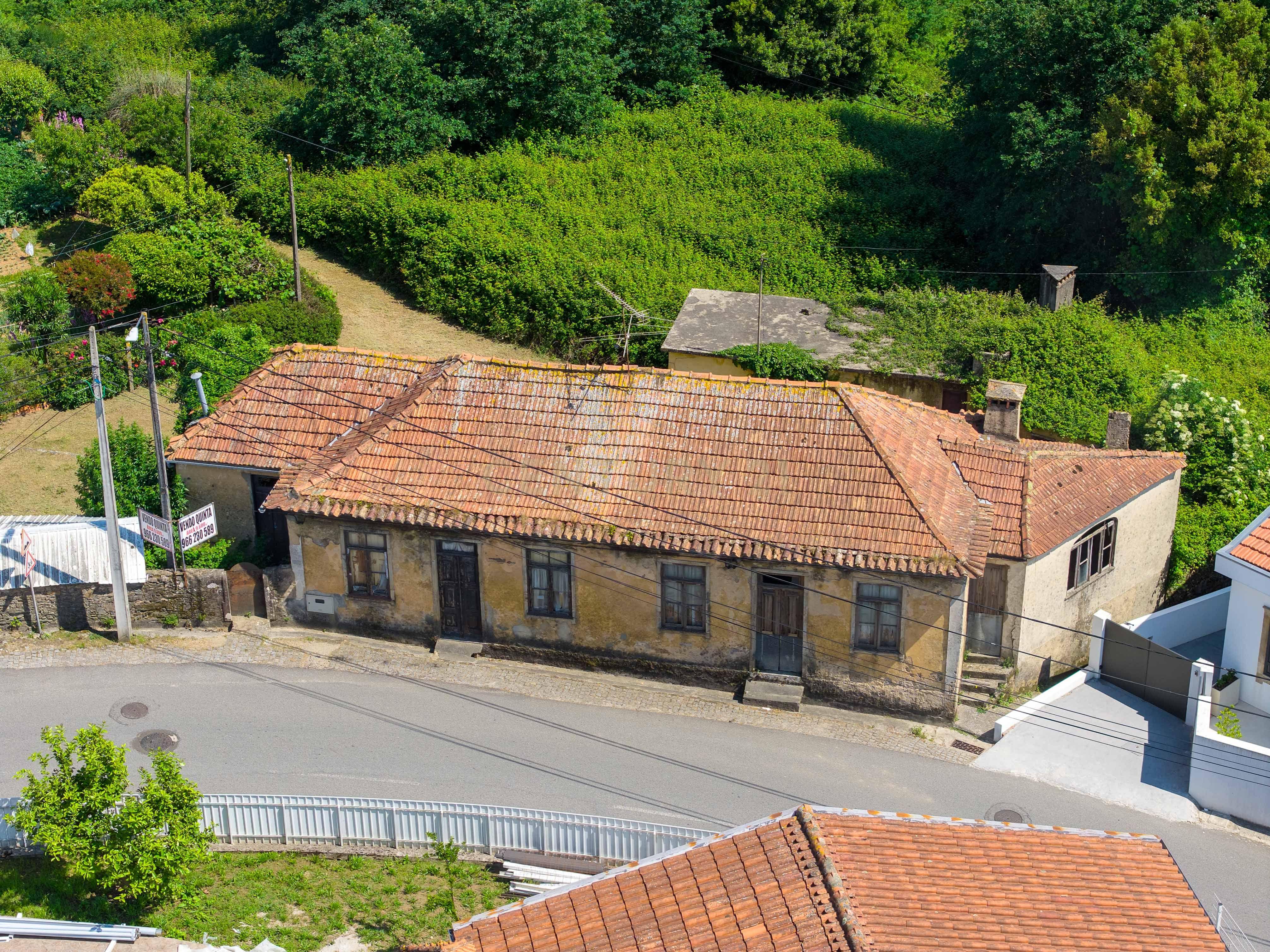 Fotografia 7 de 🏡 Quinta com Grande Potencial em Santiago de Riba-Ul – Oportunidade Única! 🌿