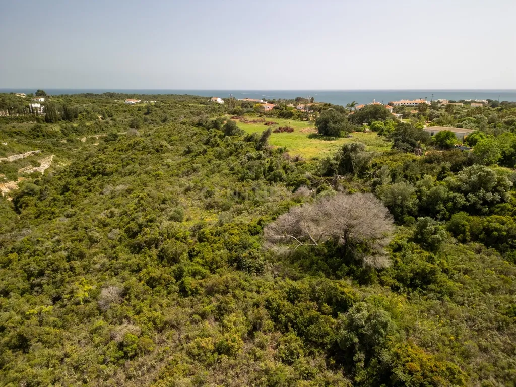 Terreno Rústico com 20.820 m² em Vale de El-Rei, Lagoa, Algarve - Image 4
