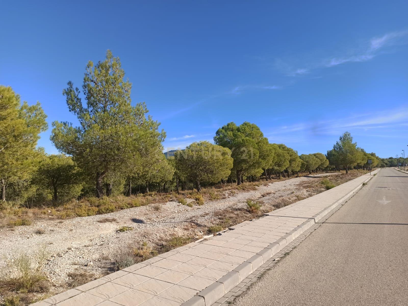 undefined - Image 15