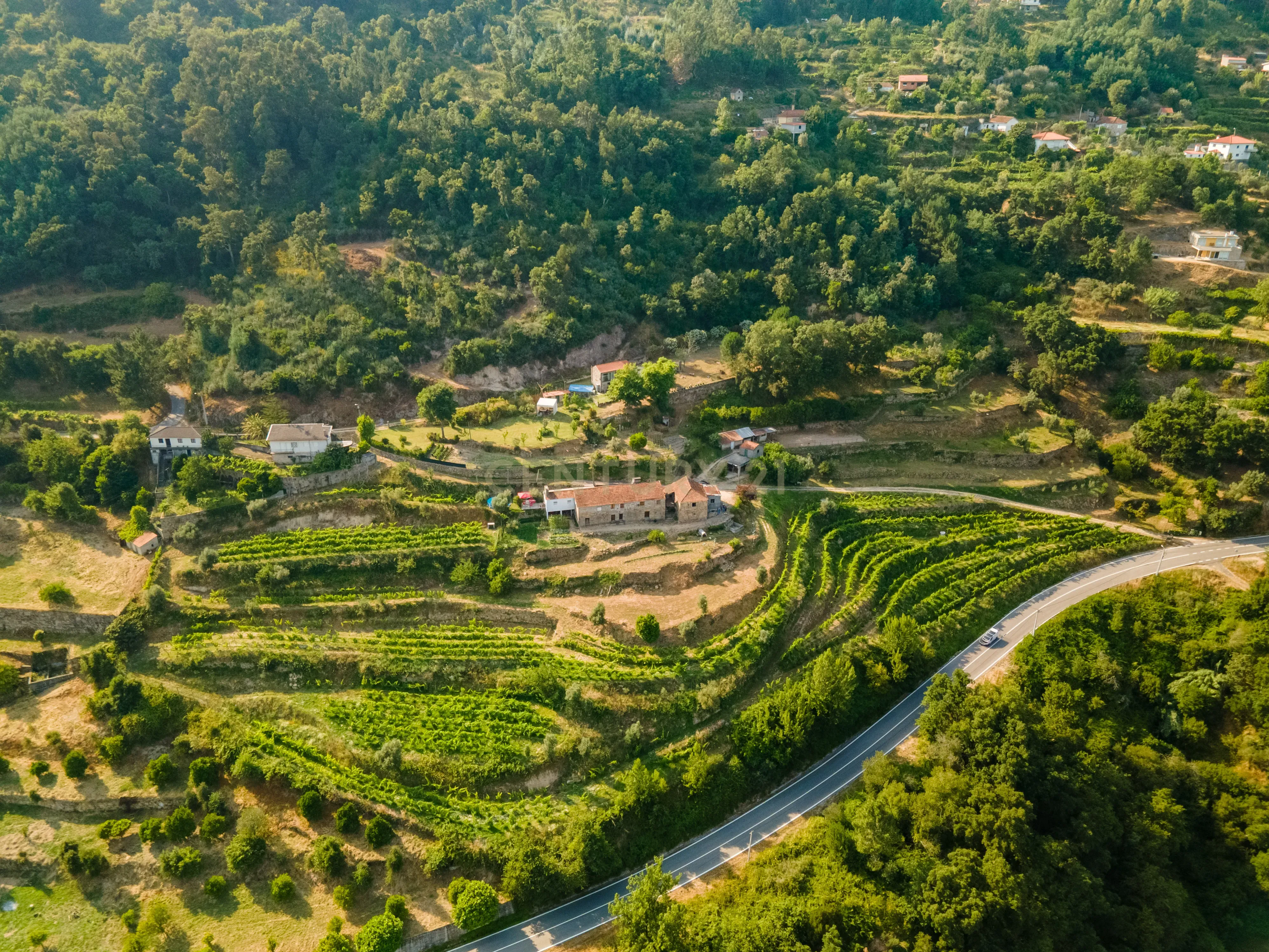 Quinta com Vista Deslumbrante sobre o Rio Douro – Projeto Aprovado para Hotel Rural | Paços de Gaiolo - Image 2