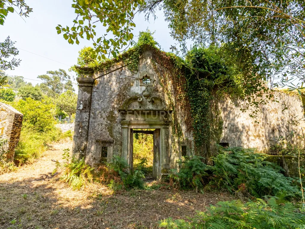Quinta para reconstrução , em Anais, em Ponte de Lima – a vila mais antiga de Portugal. - Image 6
