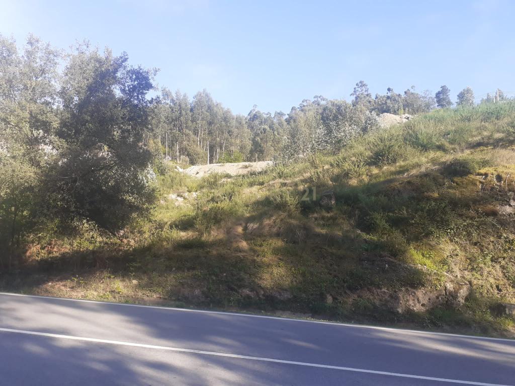 Terreno para construção - Torrão - Marco de Canaveses - Image 37