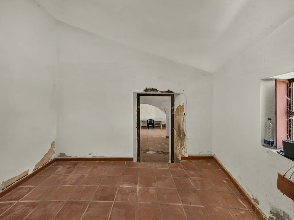 HERDADE COM 5,9 HECTARES, MORADIA E CAVALARIÇA | SANTIAGO DO ESCOURAL - Image 22