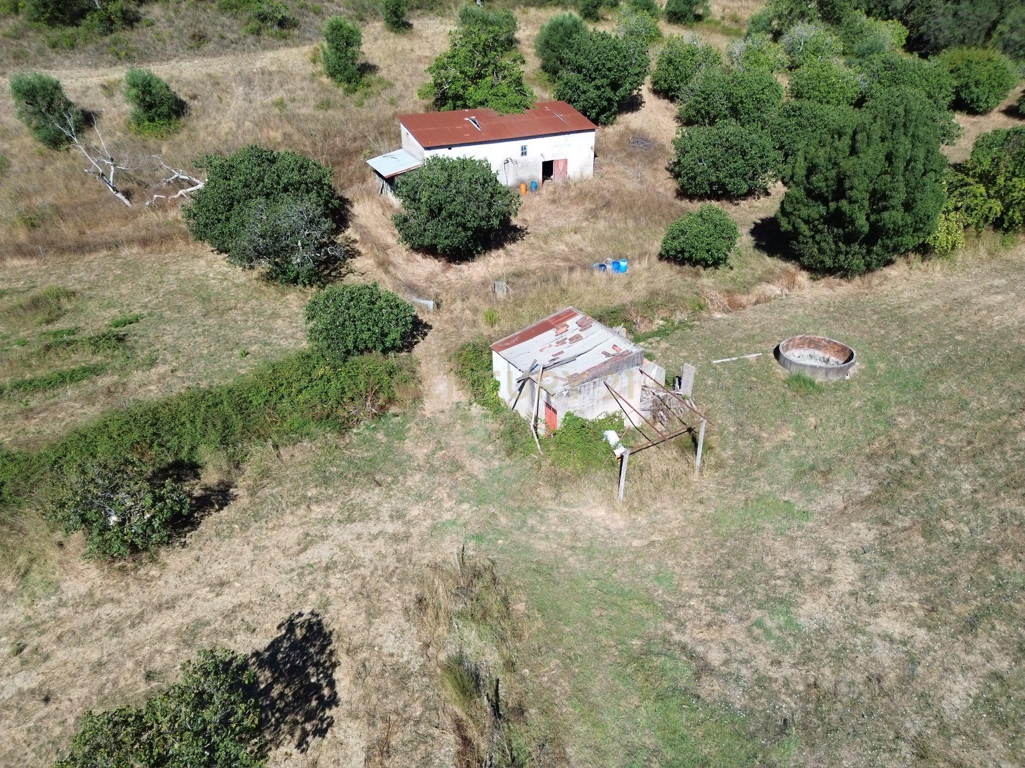 Fotografia 12 de Terreno Rústico com 29.880 m² nas Lapas, Torres Novas