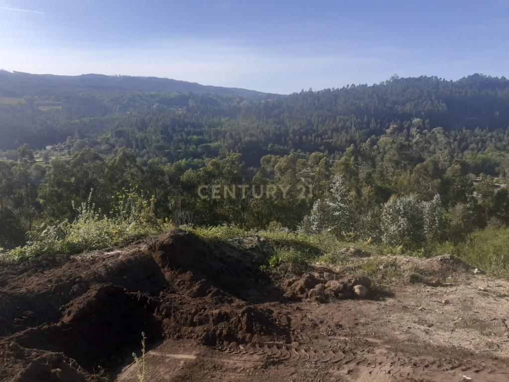 Terreno para construção - Torrão - Marco de Canaveses - Image 15