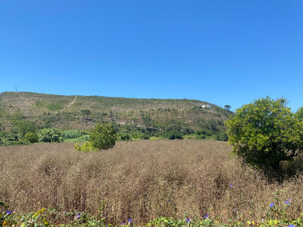 Casas Senhoriais Início Sec XIX + Terreno 4100m2 | 20 minutos de Coimbra - Image 44