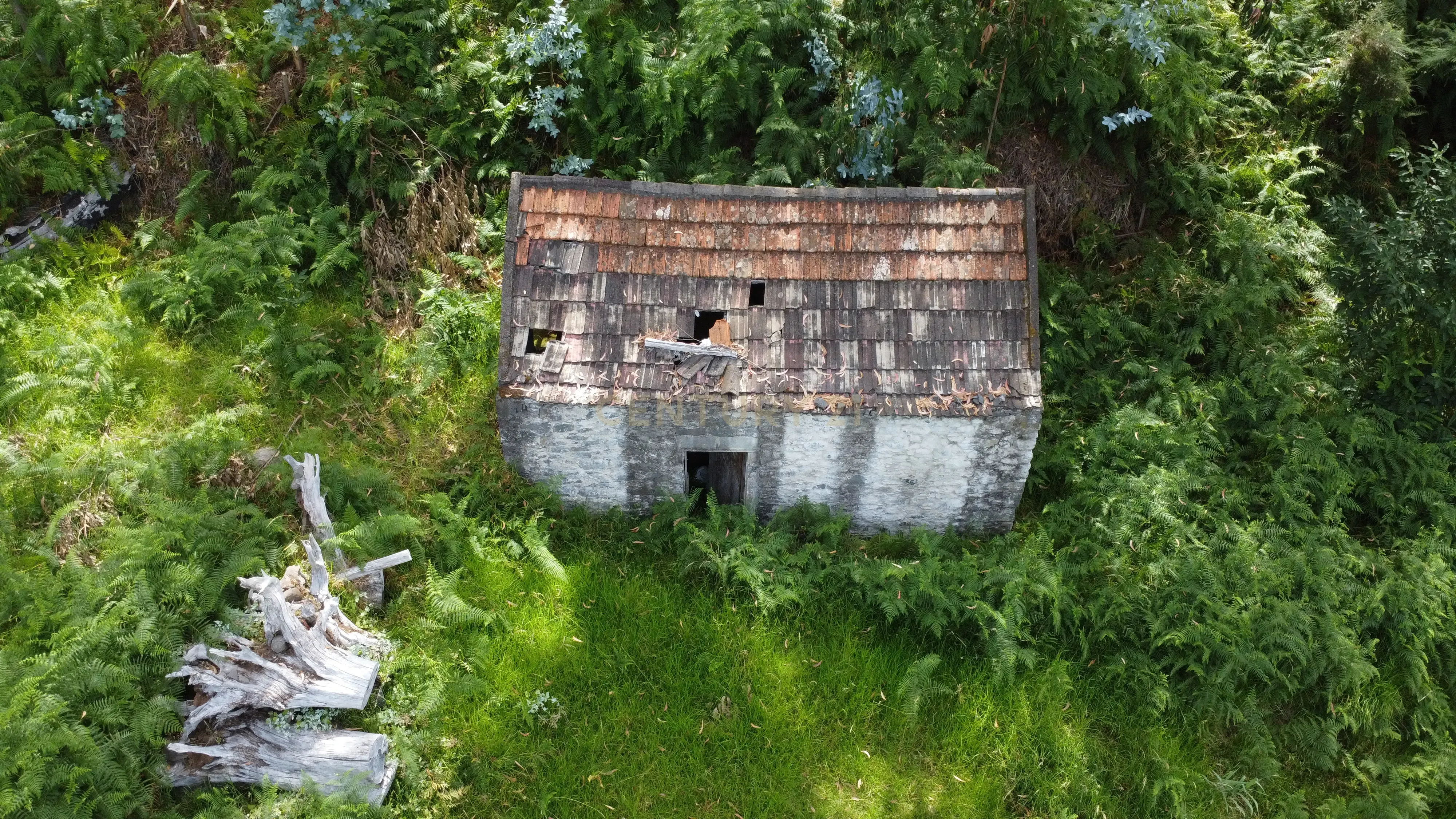 Fotografia 11 de Oportunidade Exclusiva na Madeira – Terreno com 3.796 m² nos Canhas, Ponta do Sol
