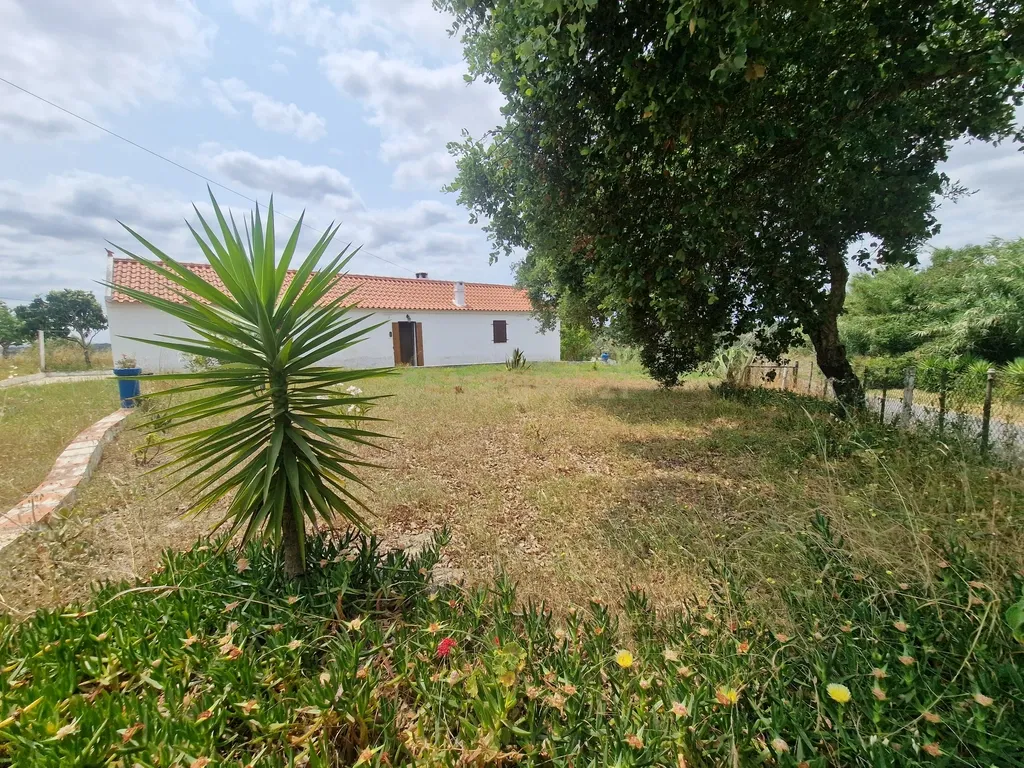 Monte/Terreno em Santiago do Cacém, com Vista Campestre e Árvores Frutíferas - Image 3