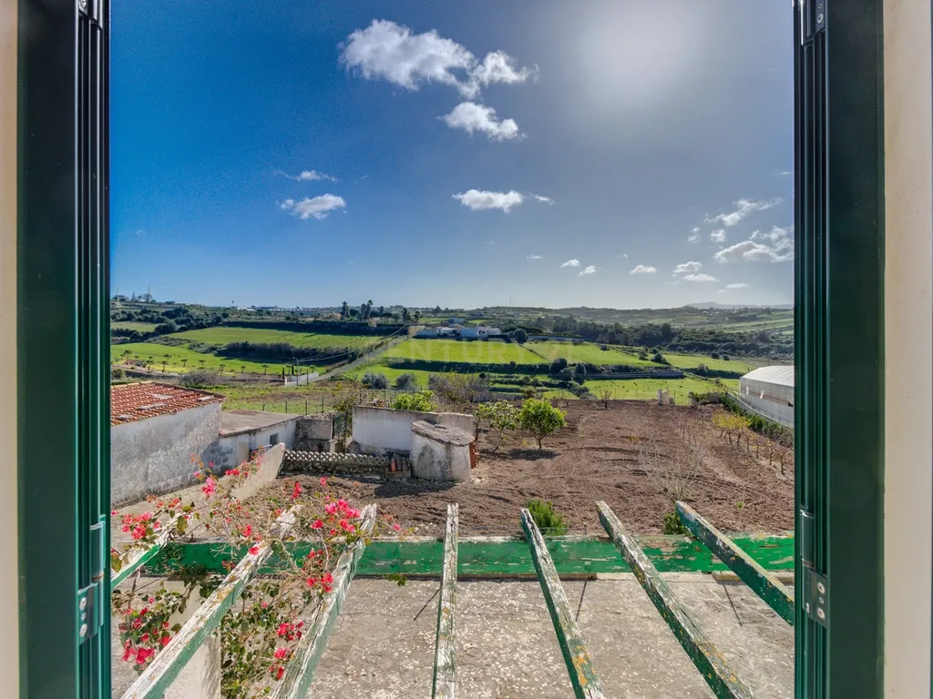 Moradia Isolada T3 com 2480m2 de terreno, poço e com anexos - Image 25