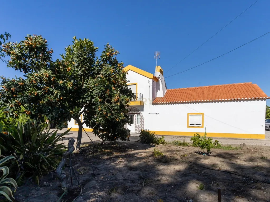 Quinta com Moradia T9 - Santo Isidro de Pegões - Montijo - Image 22