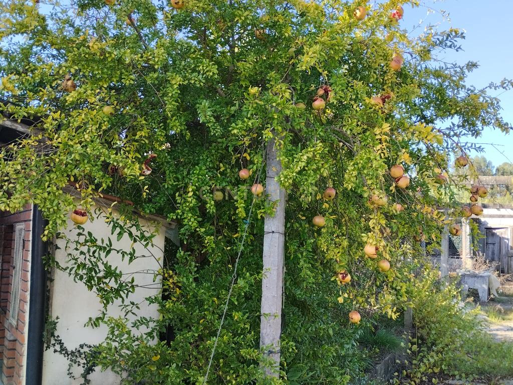 Moradia isolada em Soure - Image 23
