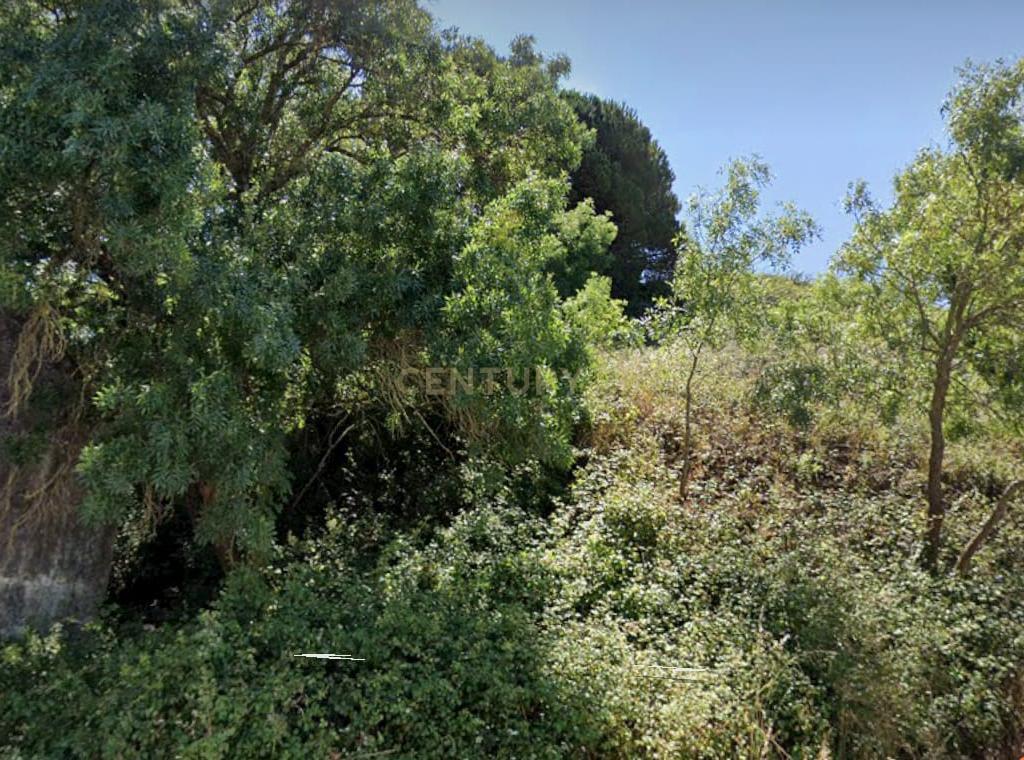 Terreno Rústico em Sintra: Localização Privilegiada e Tranquila- Almargem do Bispo - Image 3