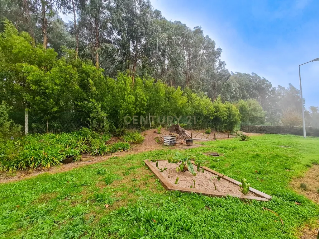🏡 APARTAMENTO T3 C/ 4 VARANDAS JUNTO À ESCOLA SECUNDÁRIA DANIEL FARIA – BALTAR 📍📢 - Image 40