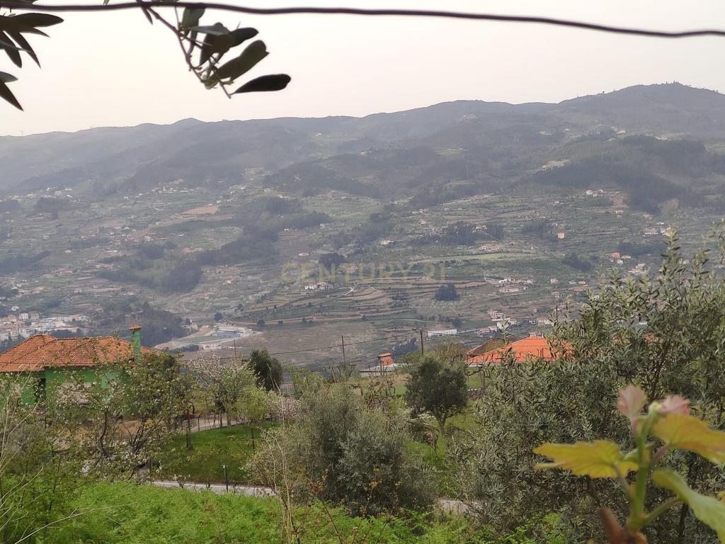 Terreno com casinha e vista para o rio Douro, em S. Tomé de Covelas, Baião para projeto agrícola - Image 19