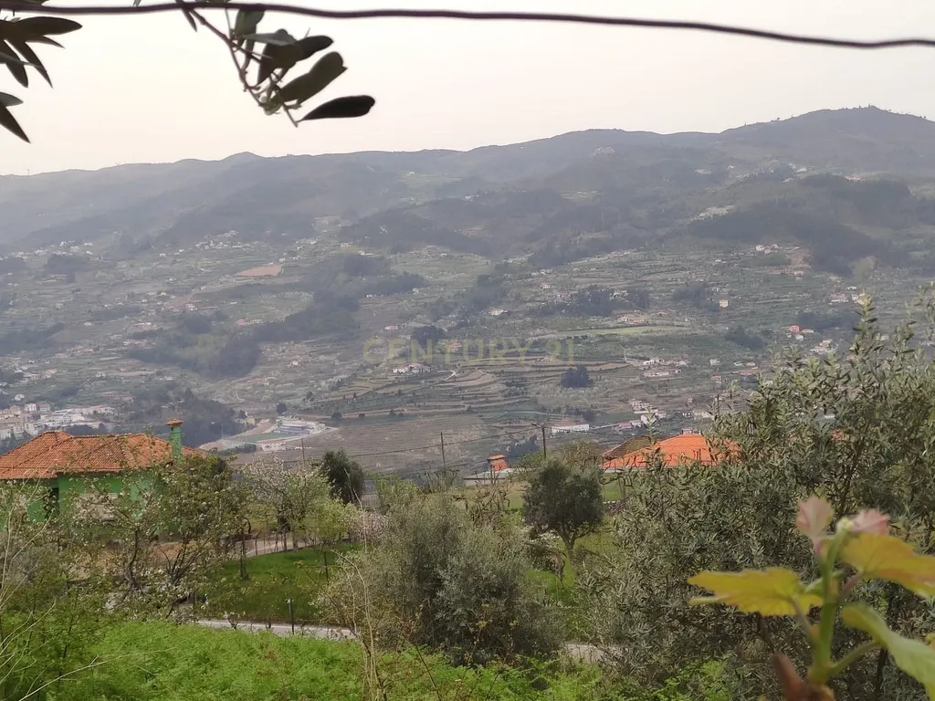 Terreno com casinha e vista para o rio Douro, em S. Tomé de Covelas, Baião para projeto agrícola - Image 19