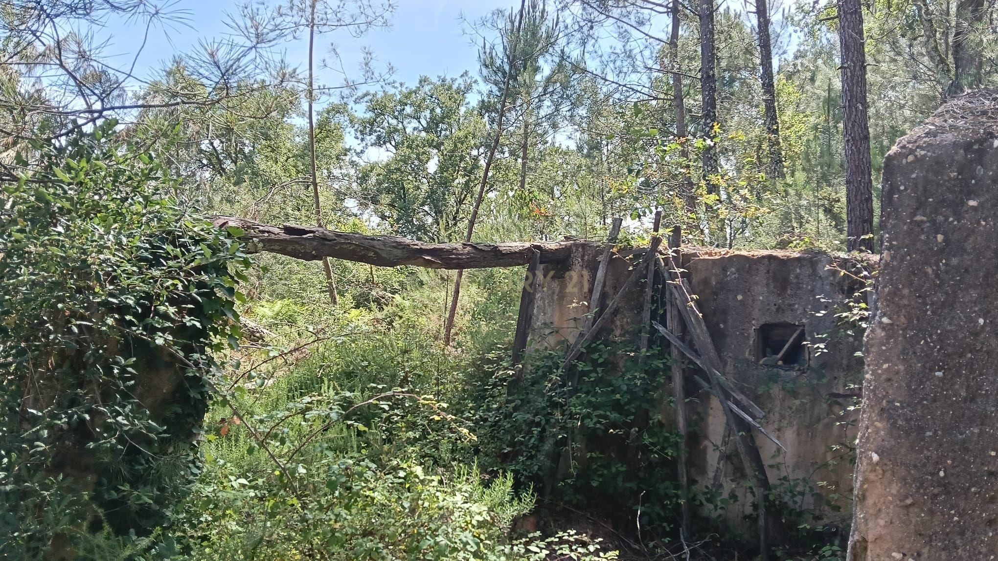 Fotografia 4 de Terreno Agroflorestal em Vila Cã, Pombal - 2575m² com Vista Montanha
