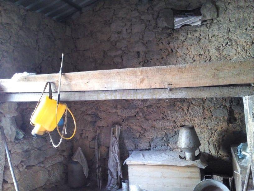 Casa p/reconstrução, Louriçal do Campo - Image 10