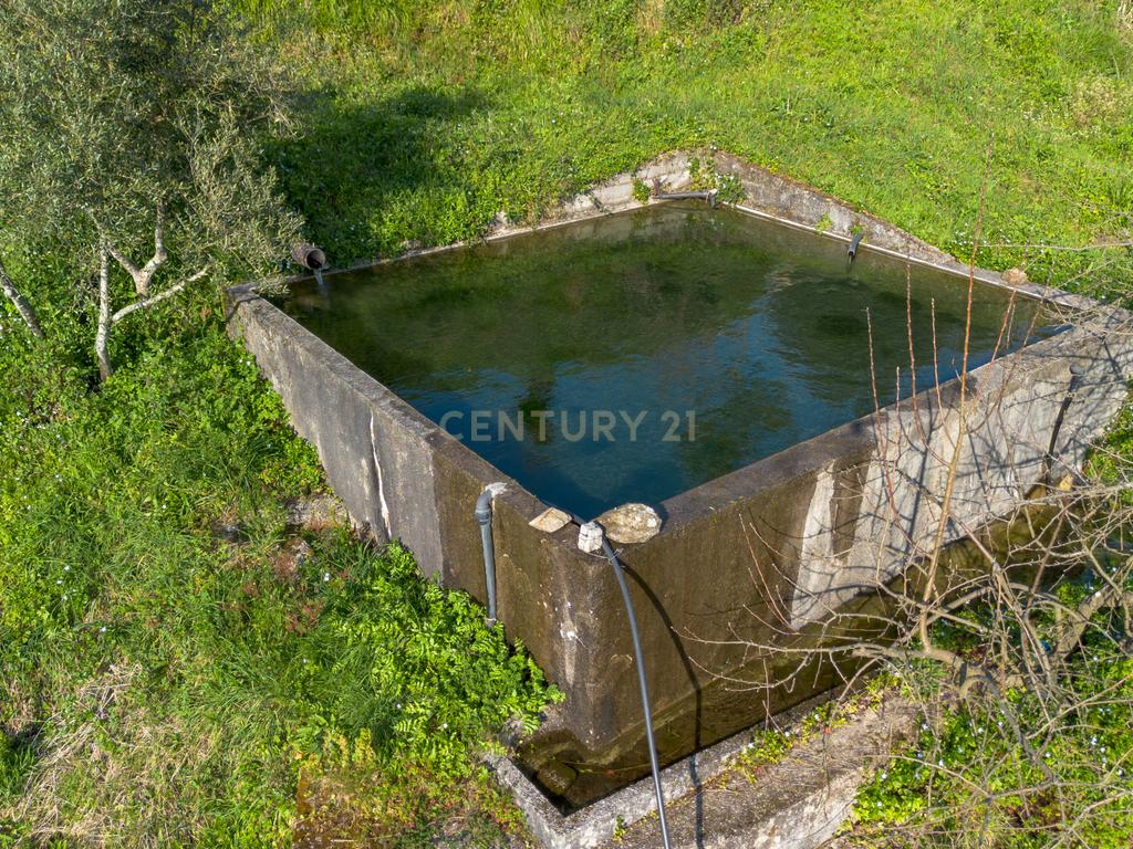 Quinta Vinícola em Celorico de Basto – 26.599 m² de Natureza, Vinhas e Água em Abundância - Image 17