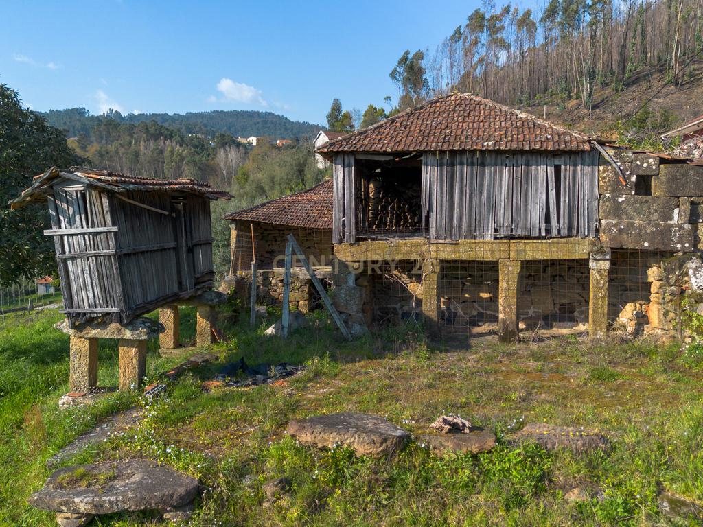 Quinta Vinícola em Celorico de Basto – 26.599 m² de Natureza, Vinhas e Água em Abundância - Image 14