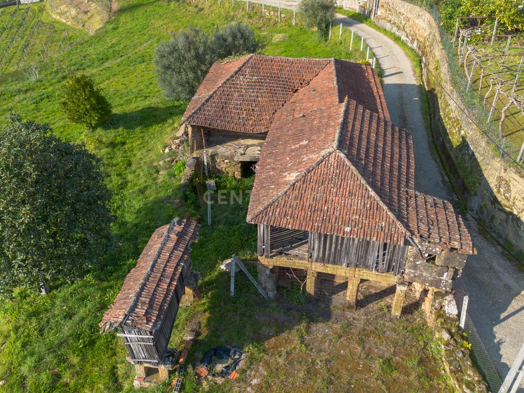 Quinta Vinícola em Celorico de Basto – 26.599 m² de Natureza, Vinhas e Água em Abundância - Image 16