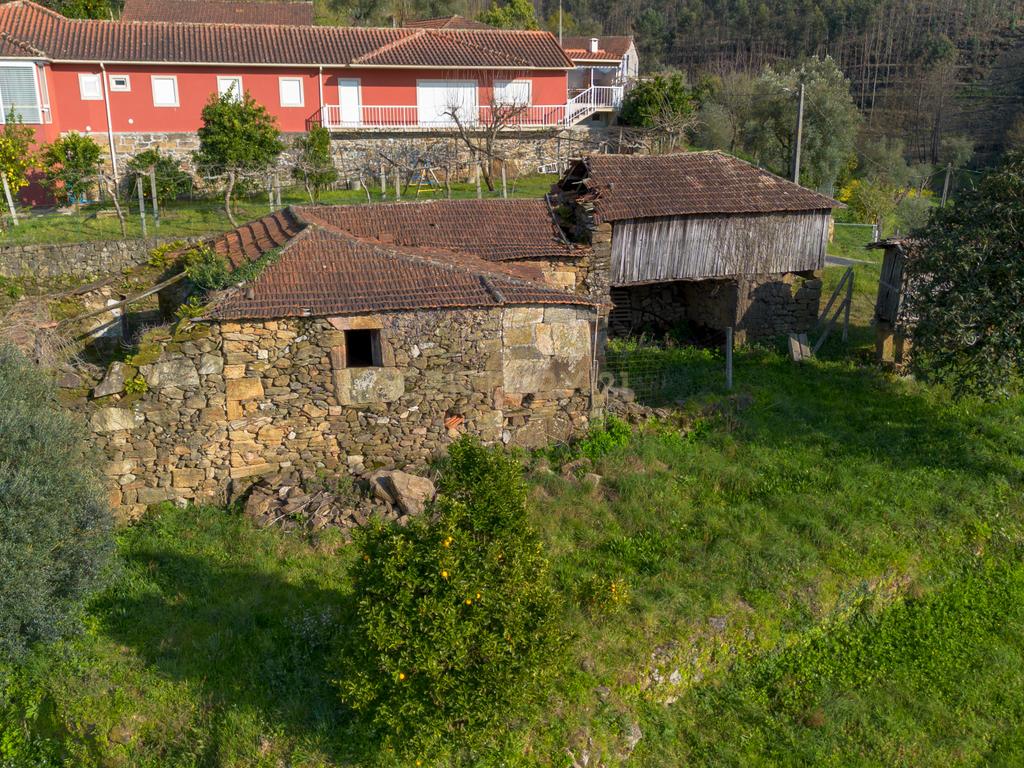 Quinta Vinícola em Celorico de Basto – 26.599 m² de Natureza, Vinhas e Água em Abundância - Image 15
