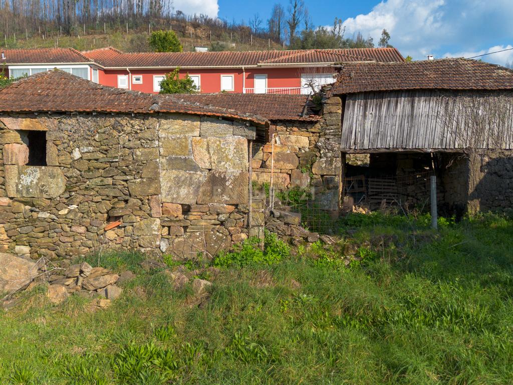 Quinta Vinícola em Celorico de Basto – 26.599 m² de Natureza, Vinhas e Água em Abundância - Image 19
