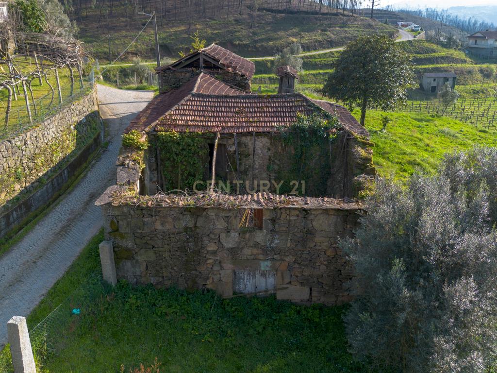 Quinta Vinícola em Celorico de Basto – 26.599 m² de Natureza, Vinhas e Água em Abundância - Image 12