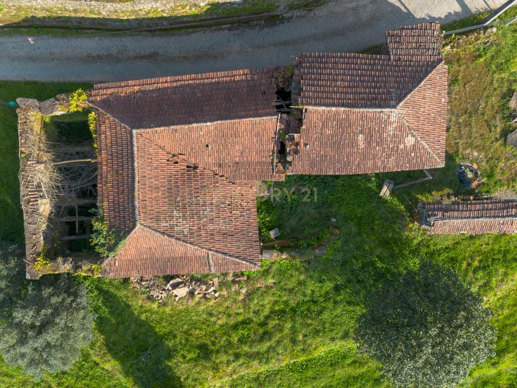Quinta Vinícola em Celorico de Basto – 26.599 m² de Natureza, Vinhas e Água em Abundância - Image 8