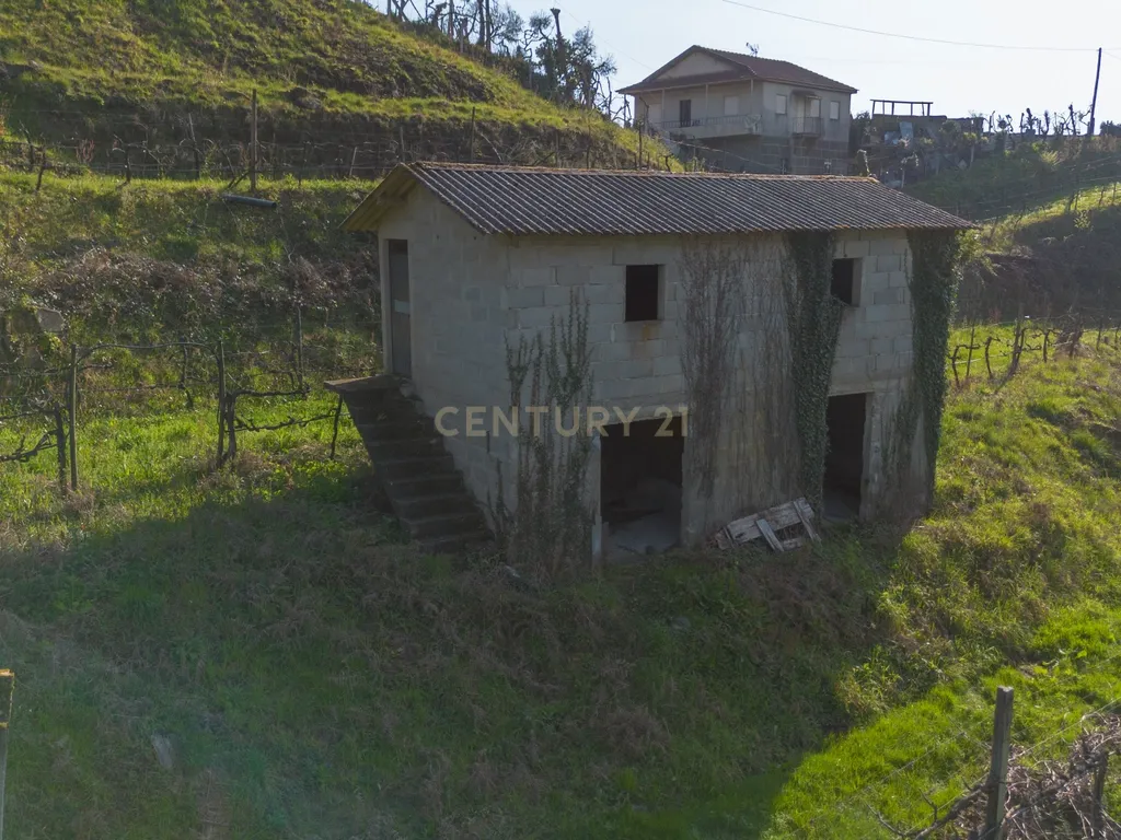 Quinta Vinícola em Celorico de Basto – 26.599 m² de Natureza, Vinhas e Água em Abundância - Image 21