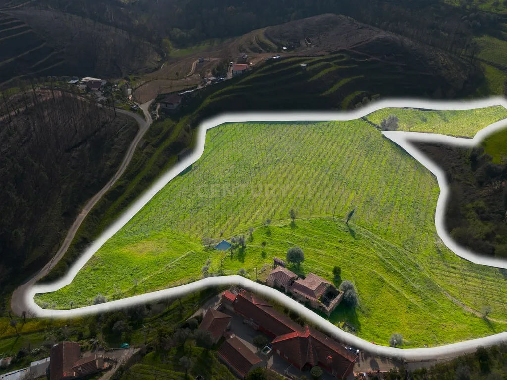 Quinta Vinícola em Celorico de Basto – 26.599 m² de Natureza, Vinhas e Água em Abundância - Image 1