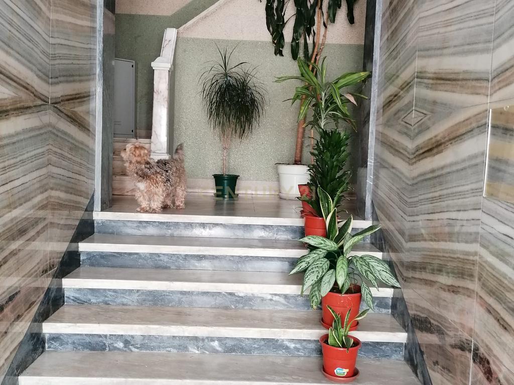 Apartamento T3 em Odivelas - Excelente Localização e Conforto - Image 2