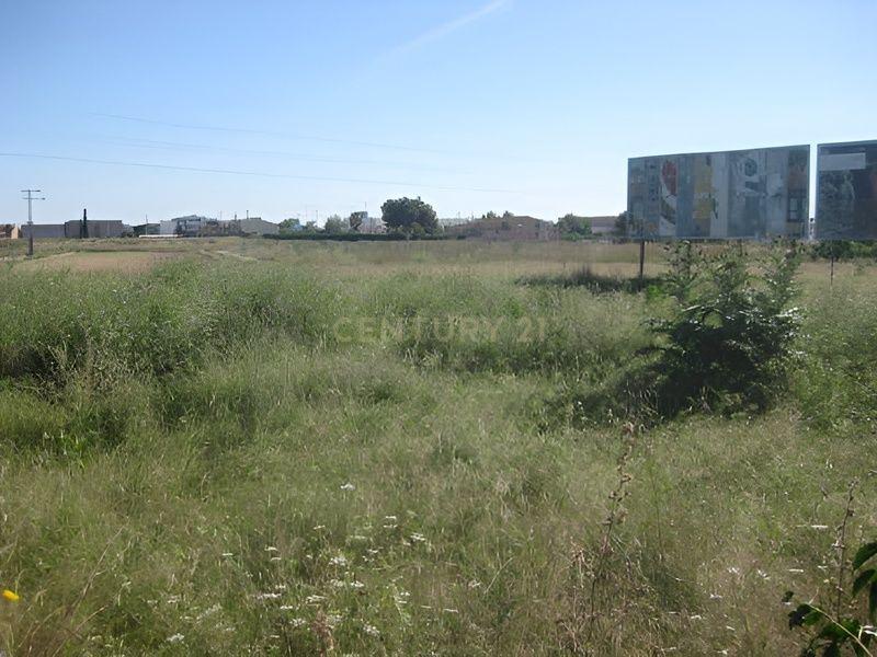 Terreno - Image 8