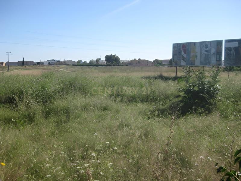 Terreno - Image 8