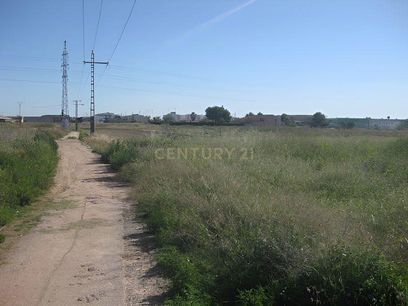 Terreno - Image 7