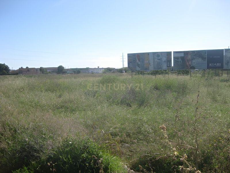 Terreno - Image 3