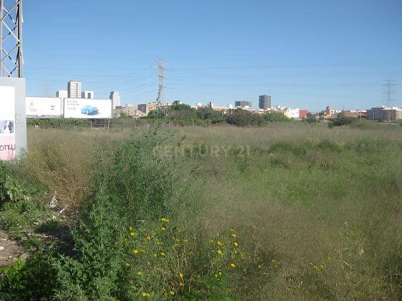 Terreno - Image 4
