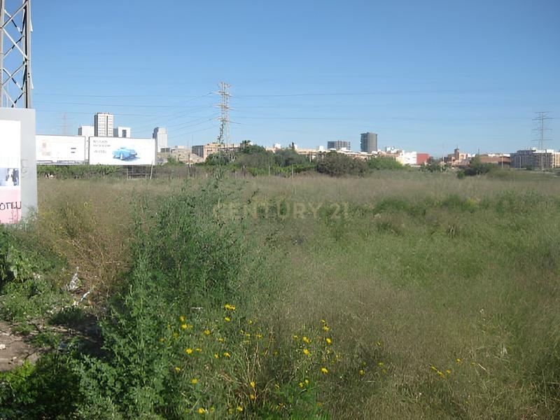 Terreno - Image 4