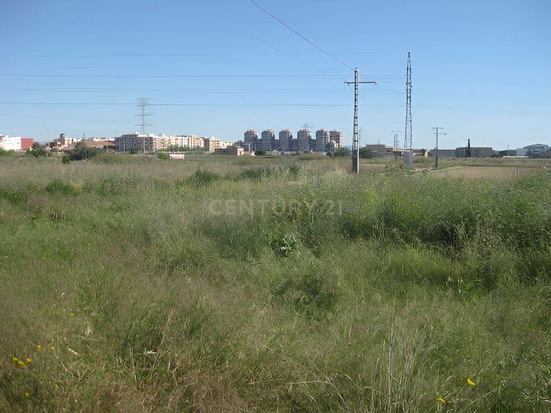 Terreno - Image 1