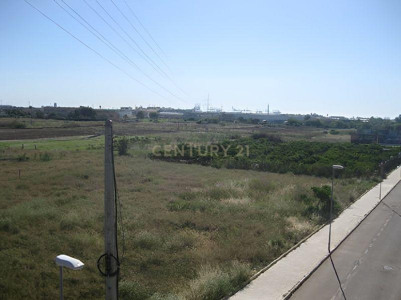 Terreno - Image 2