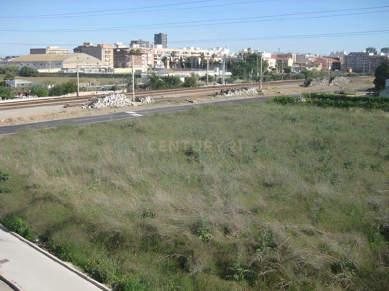 Terreno - Image 5