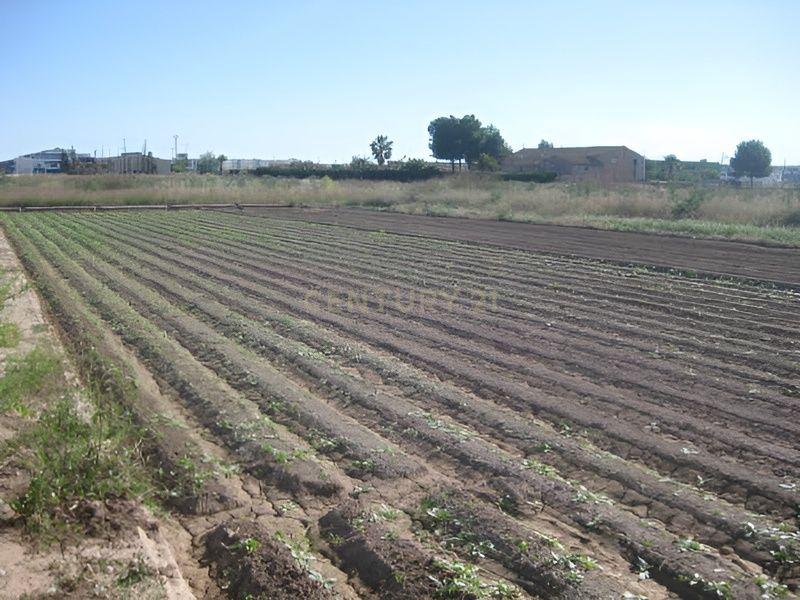 Terreno - Image 6