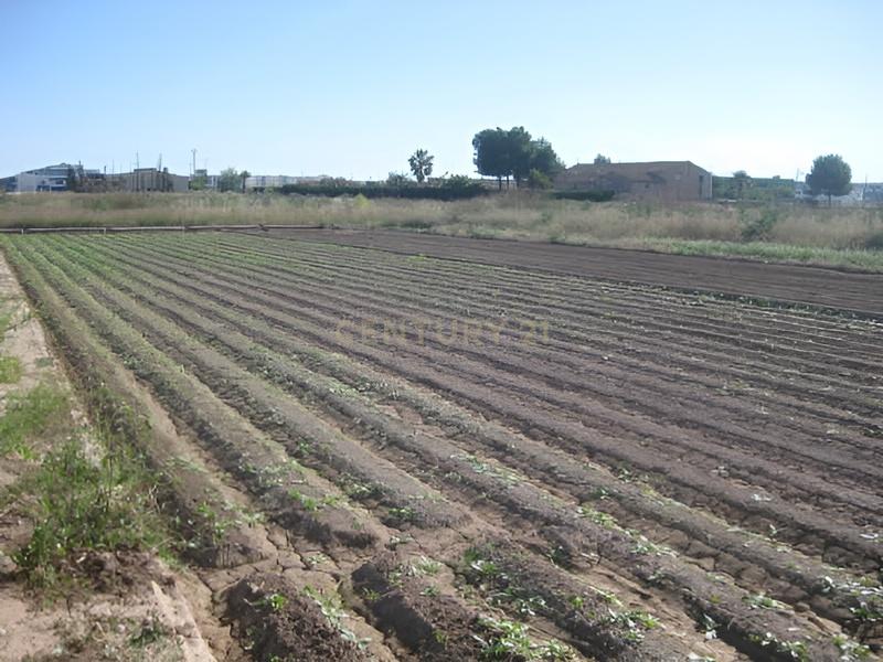 Terreno - Image 6