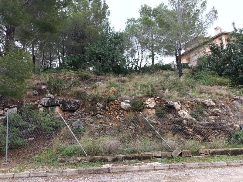 Terreno - Image 10