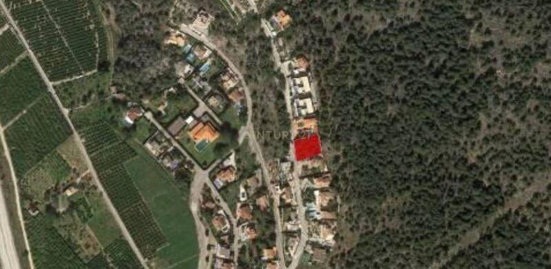 Terreno - Image 1