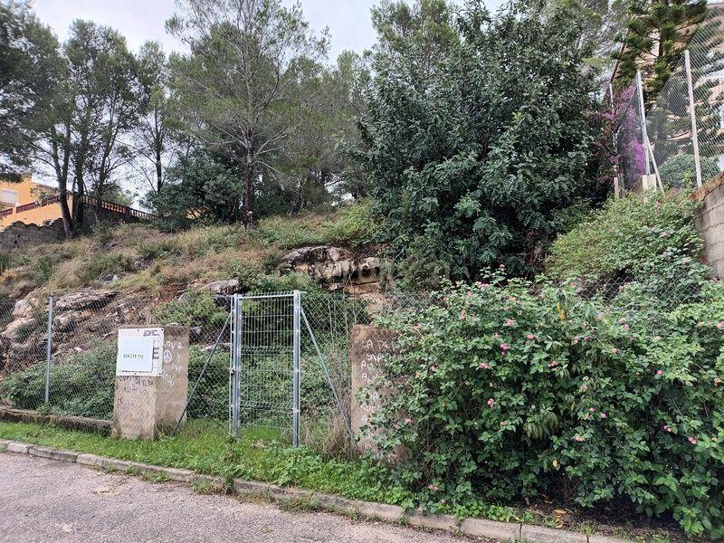 Terreno - Image 9
