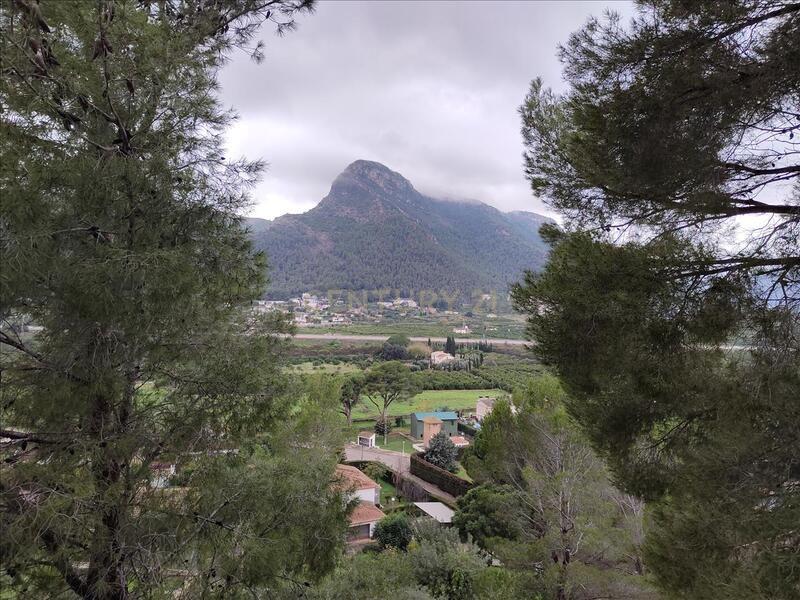Terreno - Image 5