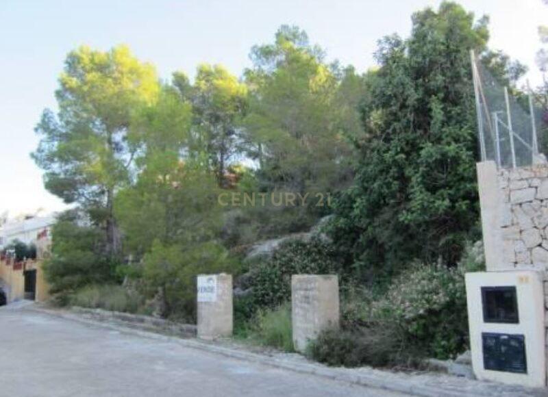 Terreno - Image 4