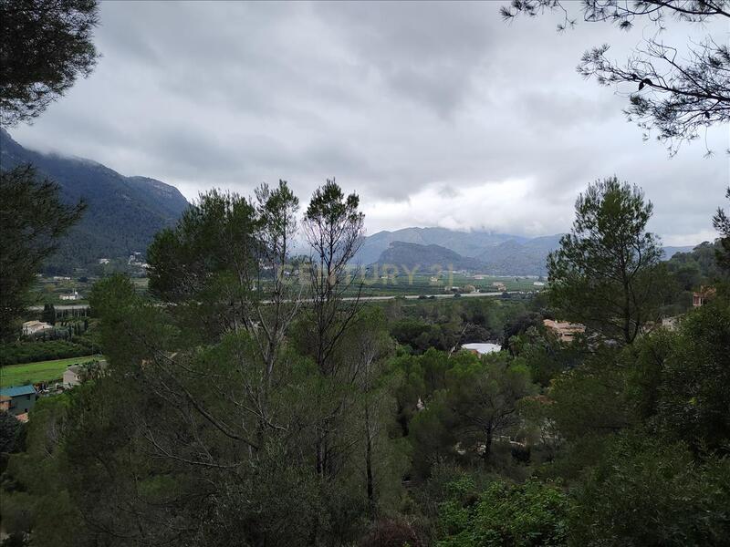 Terreno - Image 3